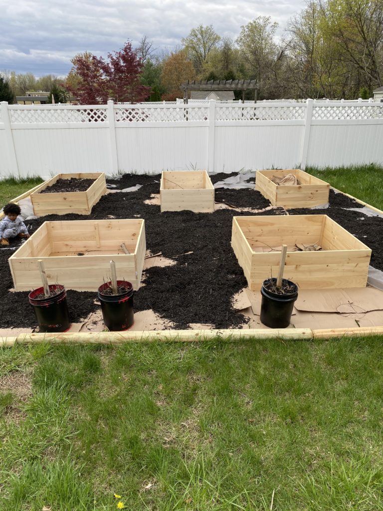garden in progress project 