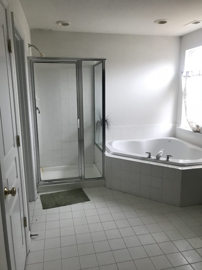 primary bathroom renovation
